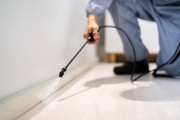 Professional Pest Control in New Port Richey East, FL